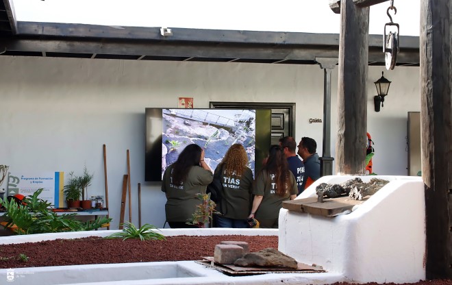 Clausura de los PFAES